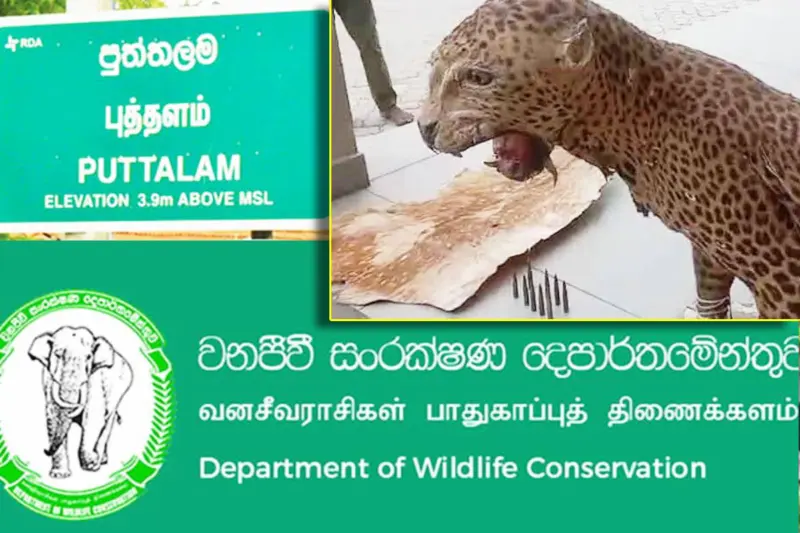முன்னாள் பிரதி காவல்துறை மா அதிபரின் காணியில் மீட்கப்பட்ட துப்பாக்கி ரவைகள்