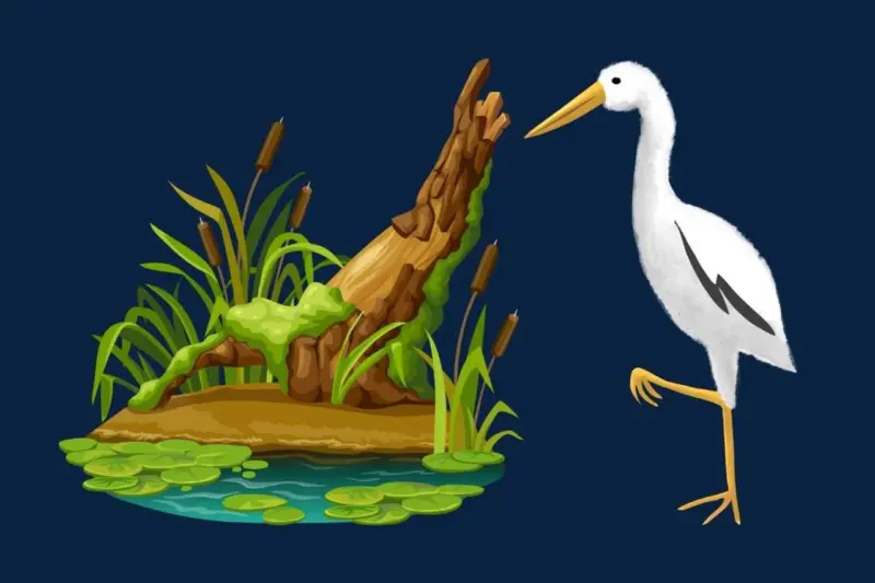 List of Ramsar sites in India and their importance