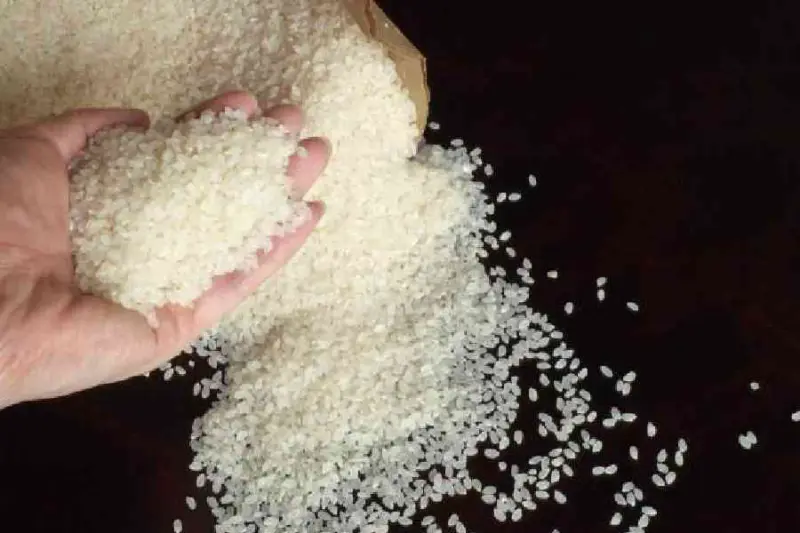 India's rice exports slip to $11.53 billion, down 7.5% amid weak shipments to key markets