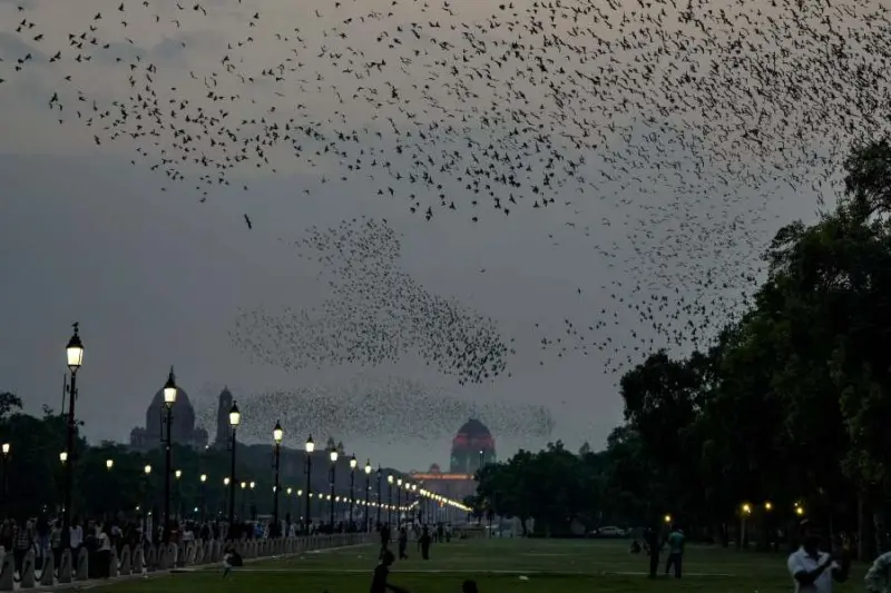 Delhi records lowest April temperature in 11 years, rain and winds bring relief