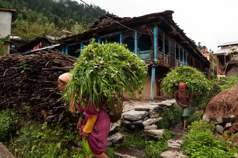 Himalayan tourism must be reframed as integral component of forest-based community economy