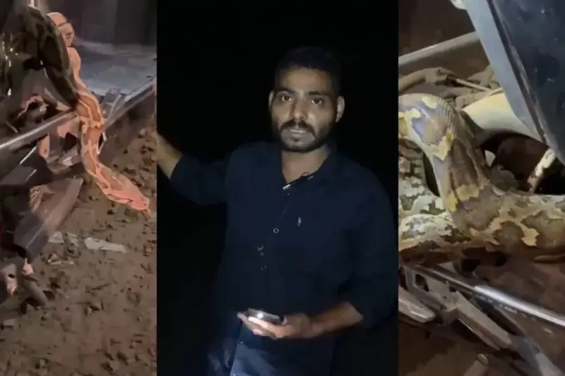 കുറ്റ്യാടി ചുരത്തില്‍ സ്കൂട്ടറിനുള്ളില്‍ പെരുമ്പാമ്പ് കയറി; യുവാവ് പെരുവഴിയില്‍ പെട്ടത് മൂന്ന് മണിക്കൂറിലധികം
