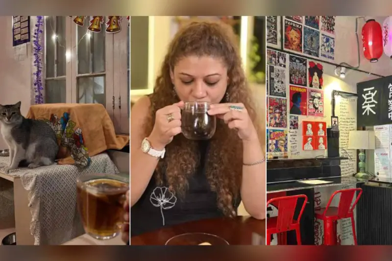 Coffee, cats, creativity: Five unique cafes in Kolkata that serve more than food and conversation