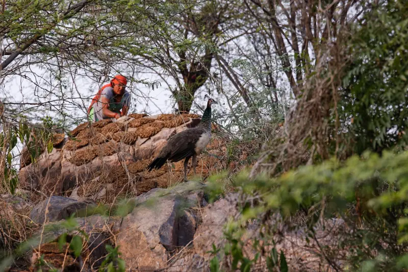 This World Forest Day, India must rethink how it governs its resources