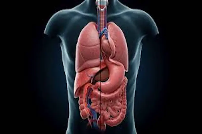 73-Year-Old Woman's Abdominal Organs Found in Chest, Treated with Minimally Invasive Surgery