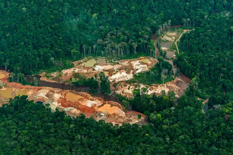 As warming and deforestation intensify, the Amazon could begin driving its own collapse, study warns