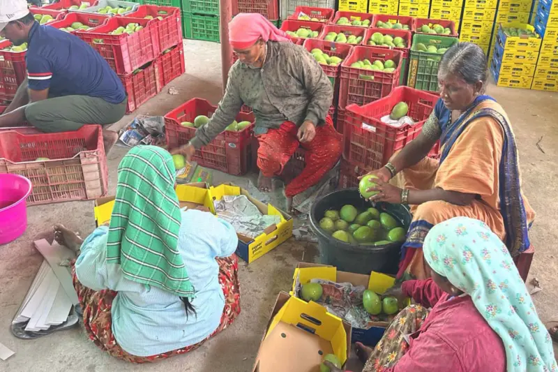 పేదరికం నుంచి ప్రగతి పథంలోకి..