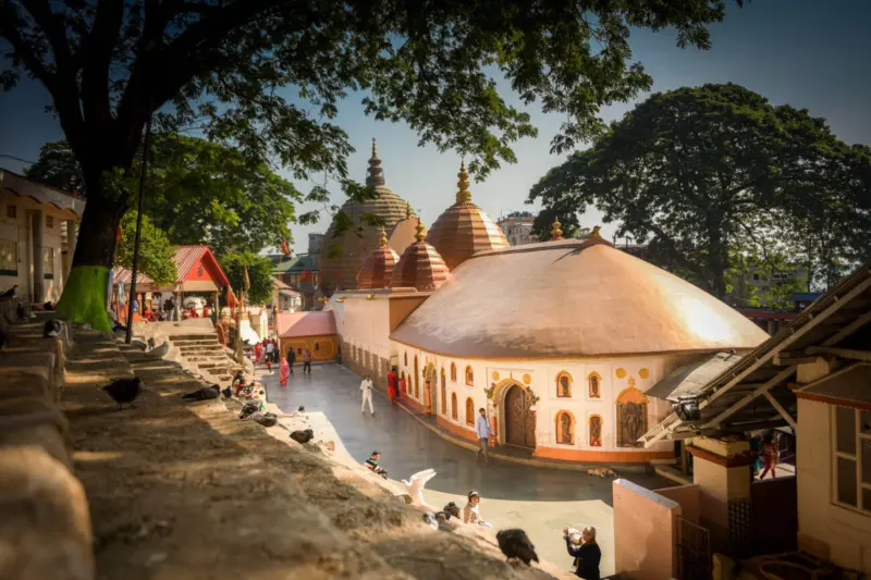 Kamakhya Temple, Ambari Archaeological site to be documented under ICOMOS project