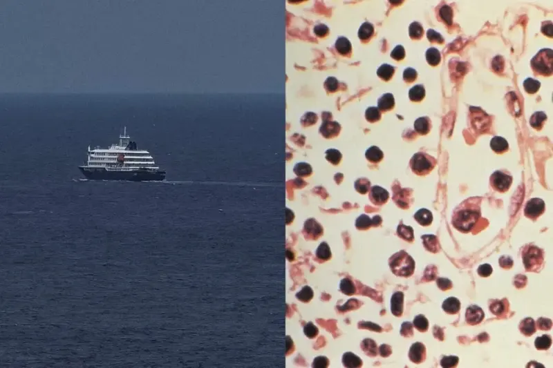 WHO classifies all passengers on virus-hit cruise ship as 'high-risk contacts'