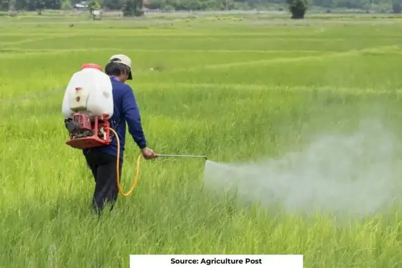 How IFFCO's nano urea is a failure?