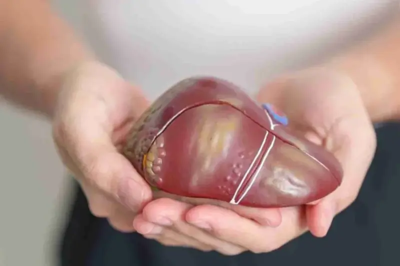 Fatty Liver is a Mysterious Disease? Expert Suggests THESE 4 Simple Tests That Can Uncover the Truth, Check