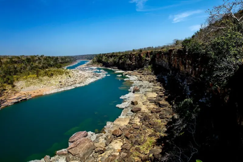 Defying Courts, Ignoring Science-How India's Wildlife Board Became A Rubber Stamp For Projects In Protected Areas