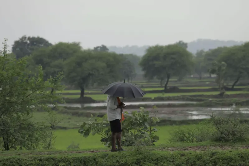 Monsoon delayed as El Nino looms, NE faces below-normal rainfall risk
