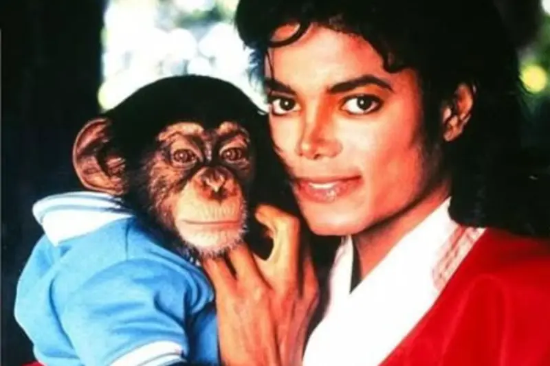 Where is Bubbles? Michael Jackson's pet chimp is 43 now, lives with his friends