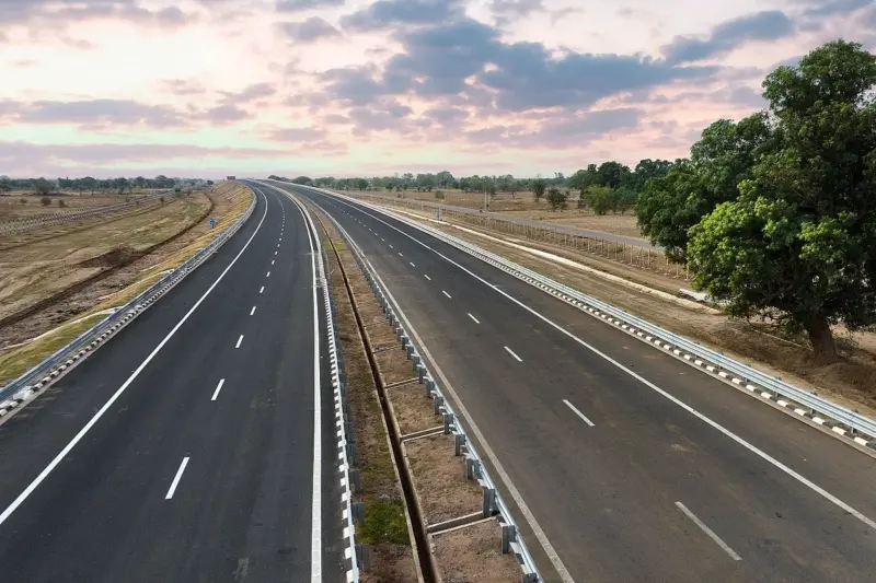 Maharashtra Set To Lose 82 Hectares Of Forest Cover For Surat-Chennai Expressway