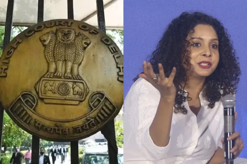 'Highly derogatory': Delhi HC orders X, govt to take action on Rana Ayyub's 'inflammatory' posts