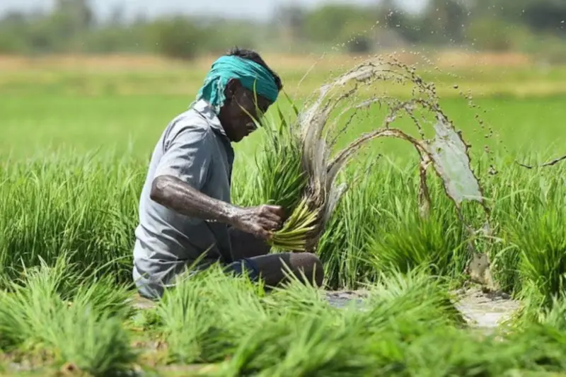 PM Kisan Samman Nidhi 23rd Installment Update: Key Requirement Farmers Must Complete to Receive Payment