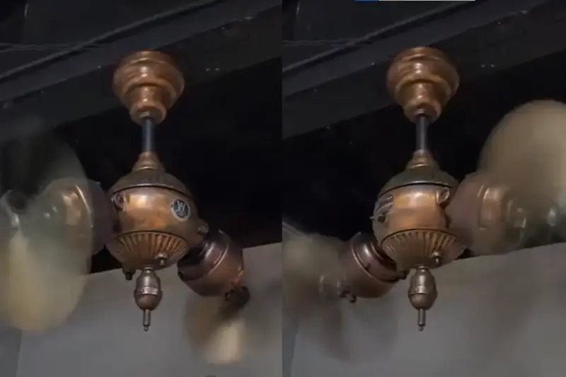 Viral Video: Antique Dealer Offers ₹50 Lakhs for 150-Year-Old Ceiling Fan, Owner Refuses to Sell