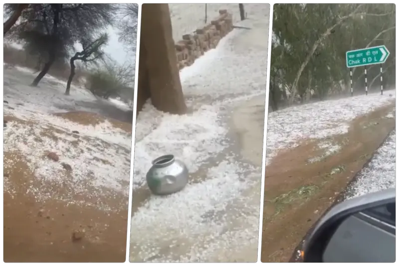 गर्मी गायब हो गई: जैसलमेर-बीकानेर में बिछी बर्फ की सफेद चादर, आसमान से बरसे ओले; रेगिस्तान को बना दिया बर्फिस्तान!