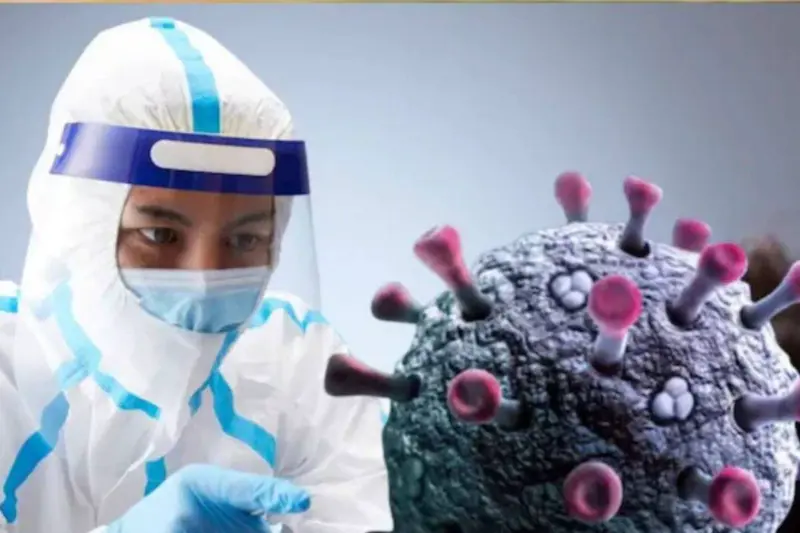 WHO On Hantavirus: ভাইরাসের নাম 'হান্টা' কেন? কতটা ছোঁয়াচে? কীভাবে ছড়ায়? লক্ষণ কী কী? কোভিডের পর কি এ বার আসছে নতুন মহামারির তাণ্ডব? জানুন WHO কী বলছে