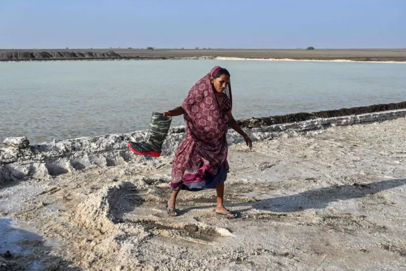 Gujarat :No Trees, No fans; Surviving Extreme Heat In Salt Pans Of Kutch