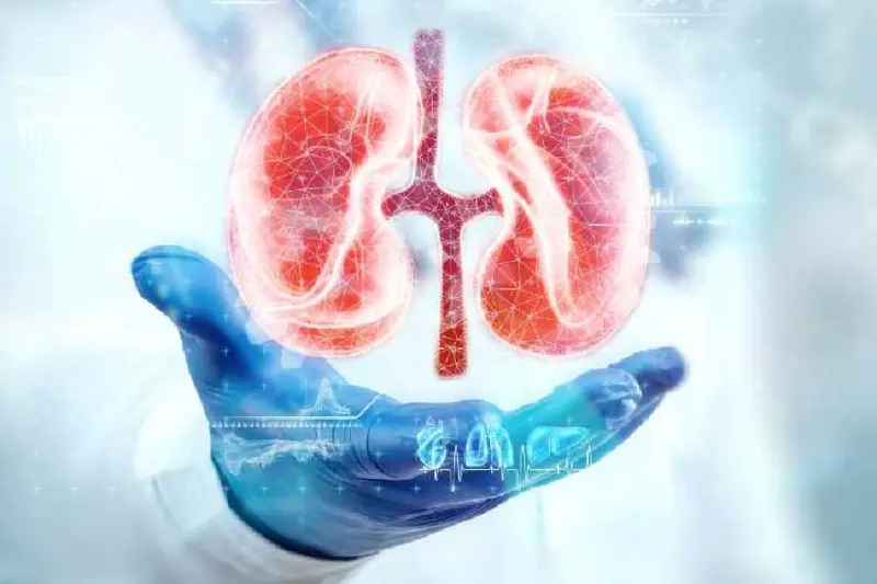 Kanpur police bust kidney transplant racket, seal 3 hospitals, arrest 6 doctors