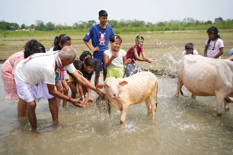 Bohag Bihu: Assam's Symphony of Spring