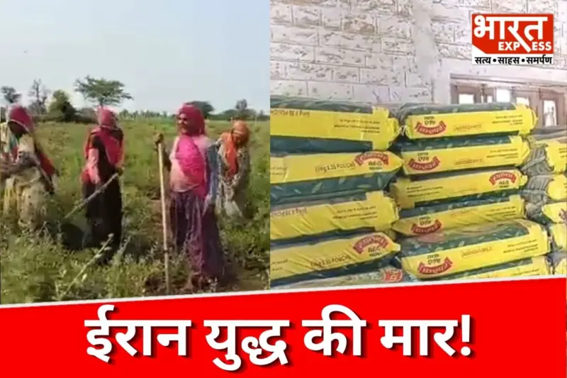 सोजत की मेहंदी पर ईरान युद्ध की मार! जानें 250 करोड़ का कारोबार कैसे हुए स्वाहा?