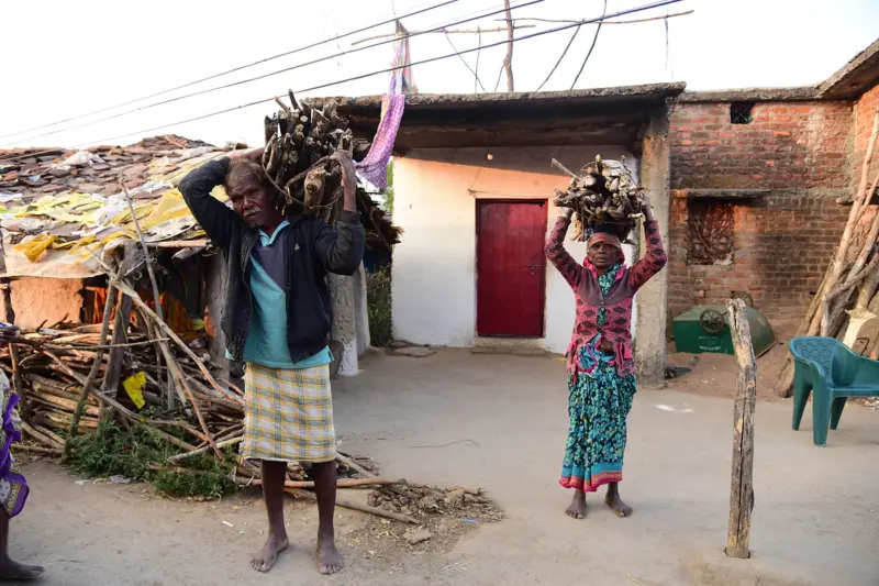 Rural India's energy crisis: Why villagers cook on firewood despite LPG access