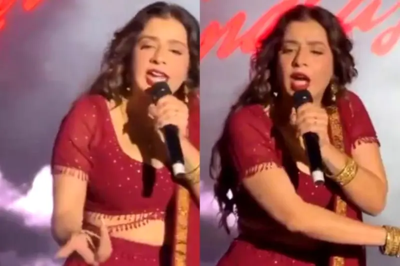 Jasmine Sandlas Viral Video: 'I Won't Perform If.' Dhurandhar Singer Stops Her Delhi Concert, Tells Security To Kick Out 2 Men Harassing Female Fans