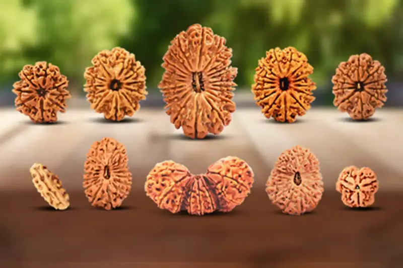 The Spiritual Significance and Benefits of Rudraksha in Hinduism