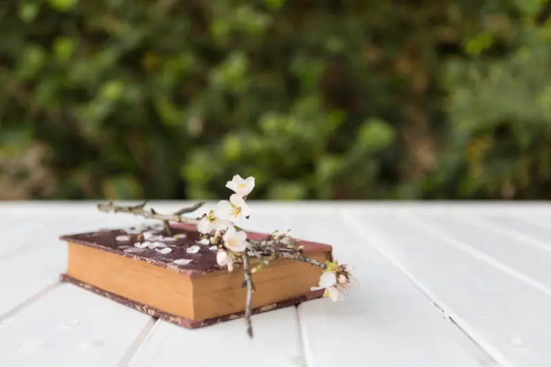 Word of the Day, March 01: 'Perigee'