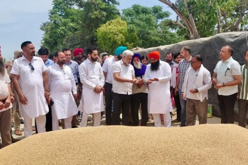 Out of 28 LMT Wheat arrival in mandis, more than 24 LMT stands procured: Lal Chand Kataruchak