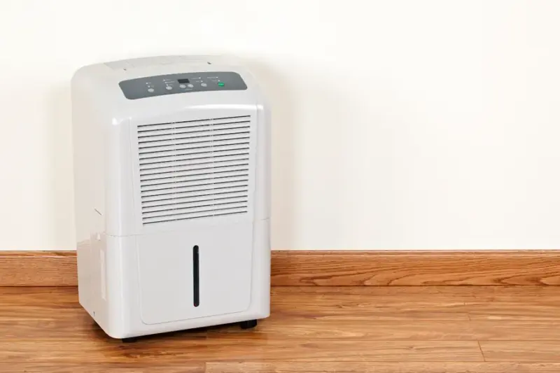 Best dehumidifiers in India 2026: Protect your home from mold, allergies, and dampness