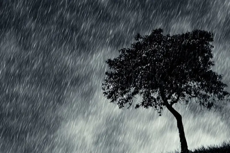 Kerala weather update: Red alert issued, extremely heavy rain ...