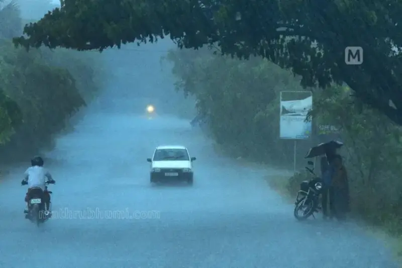 Kerala weather today: IMD issues yellow alert for 7 districts as heavy ...