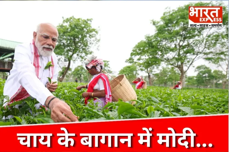 डिब्रूगढ़ के बागानों में जब चाय की पत्तियां तोड़ने लगे पीएम मोदी, देखें महिला श्रमिकों के साथ वो 'सेल्फी' जो जीत रही है सबका दिल!
