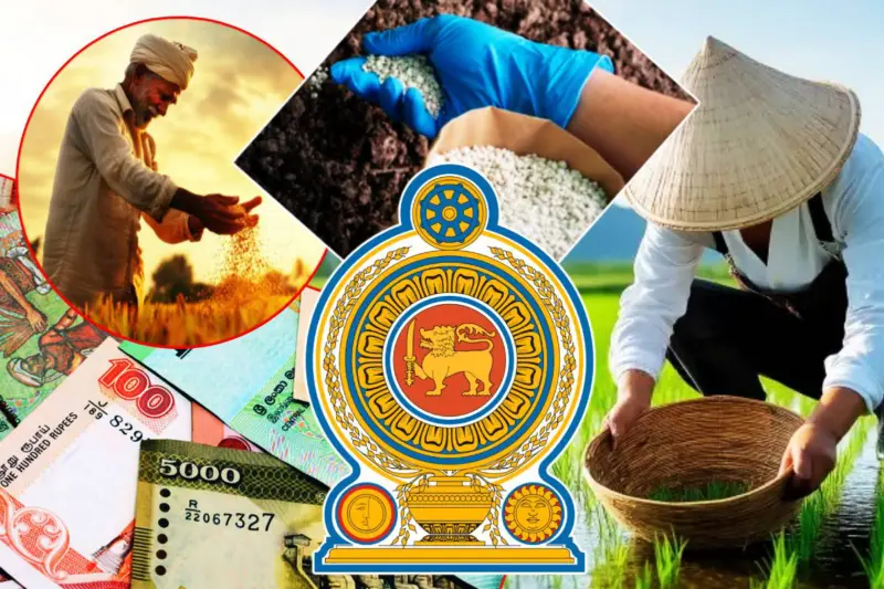 விவசாயிகளுக்கான உர விநியோகம் - அரச தரப்பு வெளியிட்ட அறிவிப்பு