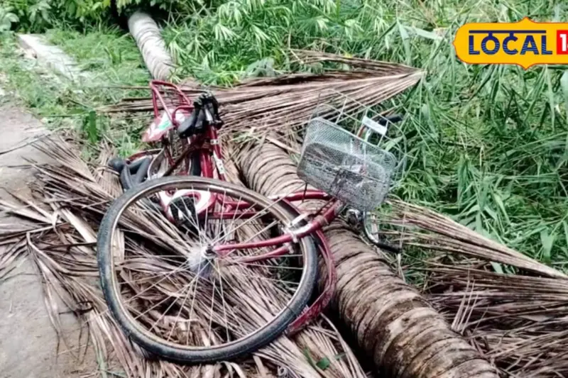 South 24 Parganas News: ঝড়ের মধ্যে বাড়ি ফেরার সময় ভেঙে পড়ল নারকেল গাছ! পারুলিয়ার স্কুল ছাত্রীর মর্মান্তিক পরিণতি, টিউশন থেকে ফেরার তাড়ায় সব শেষ