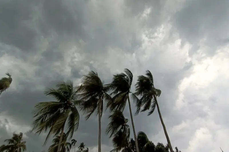 হঠাৎ অন্ধকারে ঢাকল তিলোত্তমা! বজ্রবিদ্যুৎ-সহ বৃষ্টির ভ্রুকুটি, জারি হাই-অ্যালার্ট