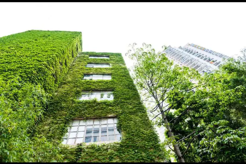 Not green enough