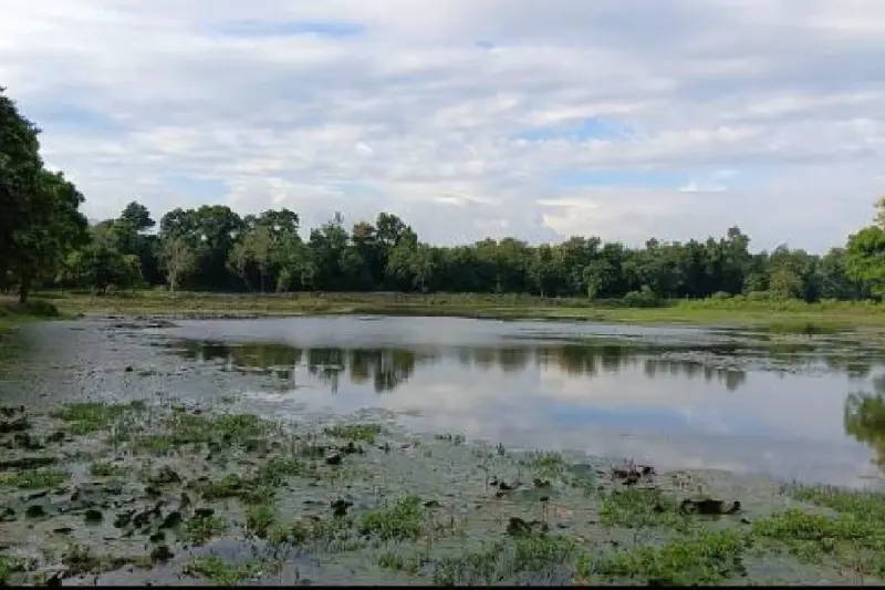 Push to save wetlands in Meghalaya, pressure group seeks Ramsar protection plan