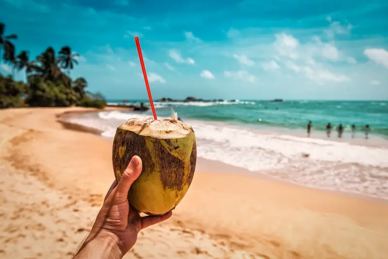 How do coconuts get their water?