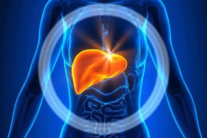 Fatty Liver: Suffering From Deadly Disease? Check Doctor-Approved Top 5 Lifestyle Changes to Reverse Your Condition