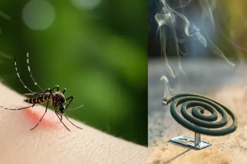 Mosquito Repellents: The Shocking Truth No One Isn't Telling You, Health Coach Reveals All!