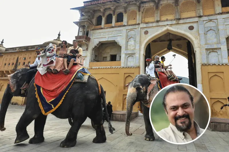After elephant painted pink dies, Wildlife SOS calls for end to Jaipur jumbo rides