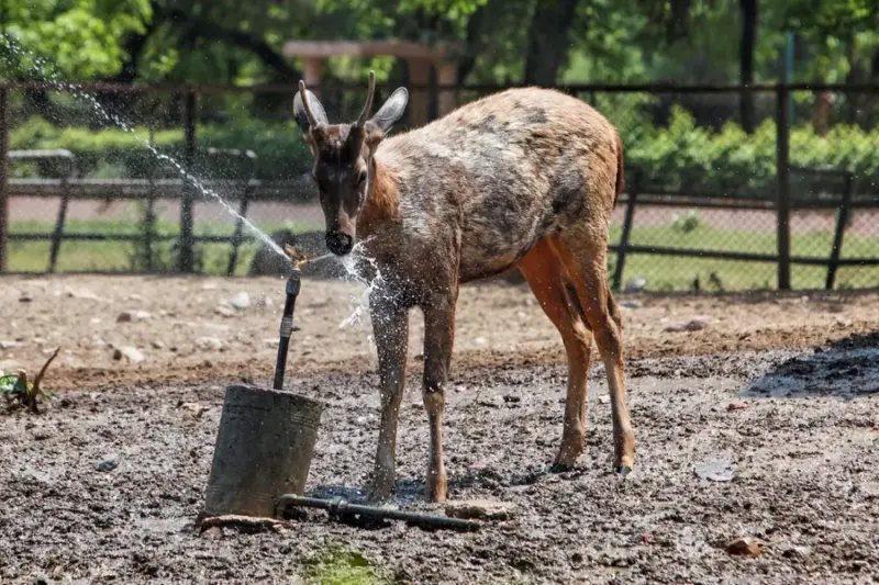 India weather alert: Heatwave grips North as storms target South and East