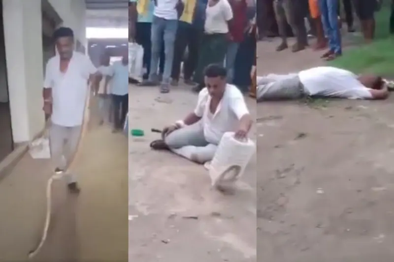 Viral Video: सांप पकड़ते ही ओवर कॉन्फिडेंस में आया आदमी, देखें कैसे शेखी झाड़ते-झाड़ते हुआ चारों खाने चित?