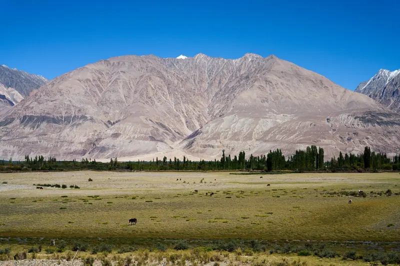 From the Passenger Seat: Vihan Shah's moving frame across Ladakh