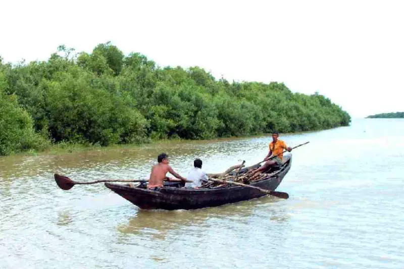 Odisha park shut for crocodile breeding